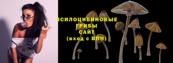 герыч Богородск