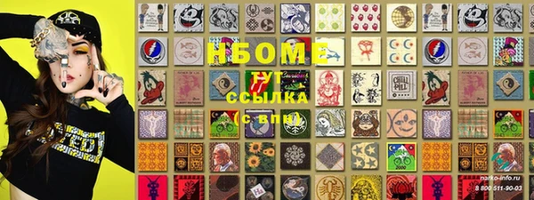 PSILOCYBIN Тында