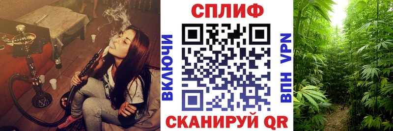 МАРИХУАНА THC 21%  shop формула  Вятские Поляны 